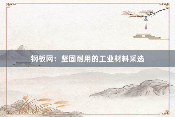 钢板网：坚固耐用的工业材料采选