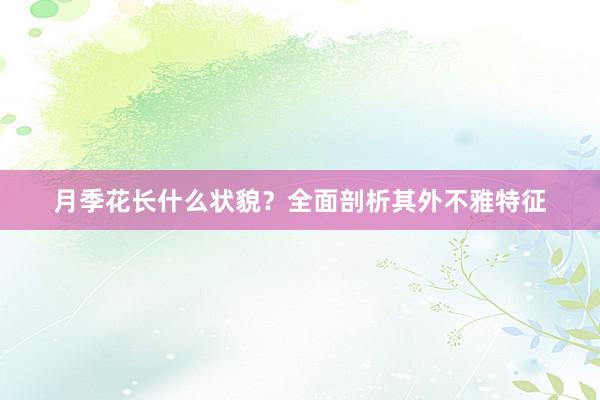 月季花长什么状貌？全面剖析其外不雅特征