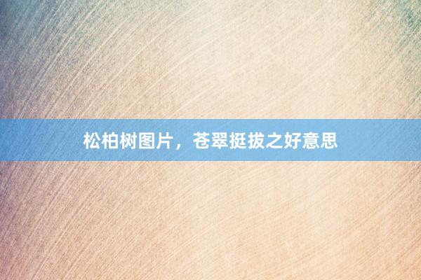 松柏树图片，苍翠挺拔之好意思