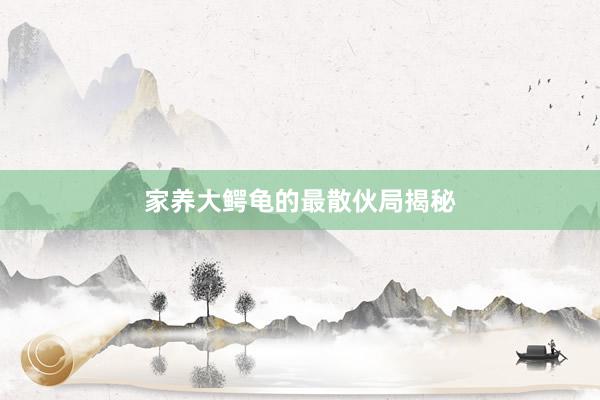 家养大鳄龟的最散伙局揭秘